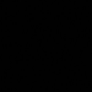 Meet your Posher, Rosy